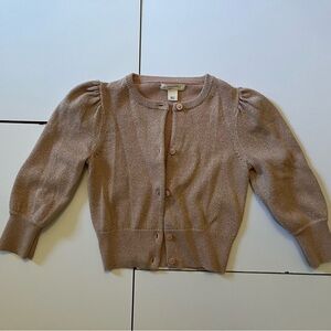 Crewcuts Tan Kids Sweater